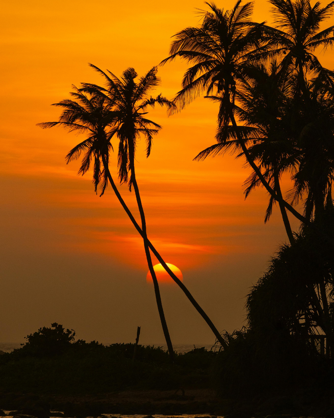 Sri Lanka