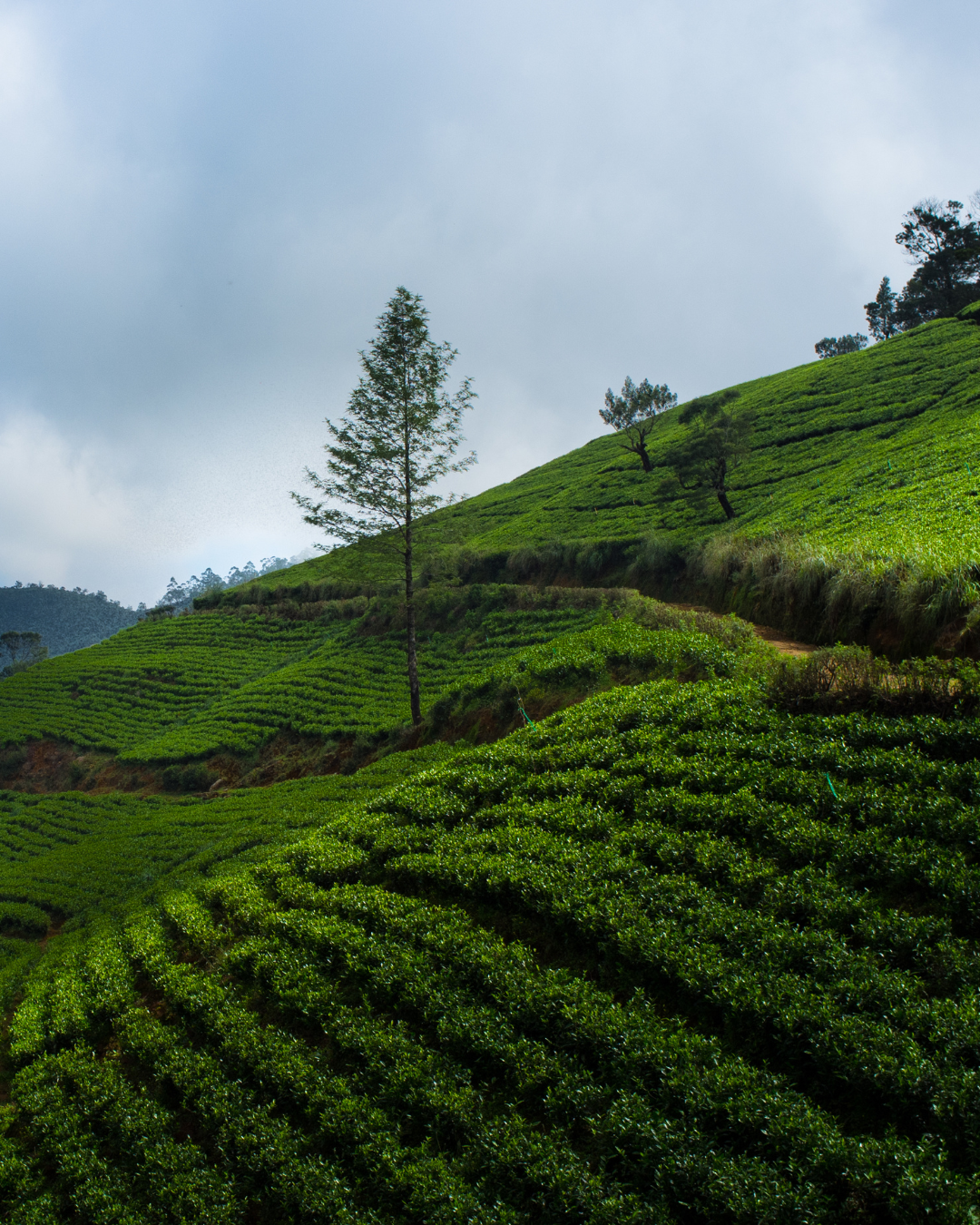 Sri Lanka